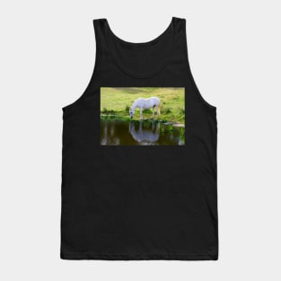 Horse Drinking Water Tank Top